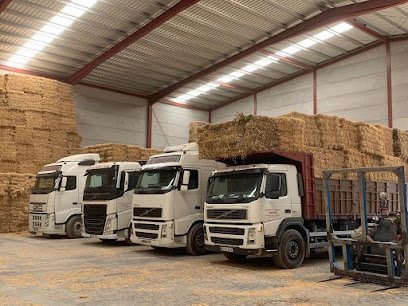 oficina mensajería Transportes y Forrajes Muñoz