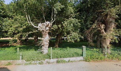 oficina mensajería Oficina Rural de Correos