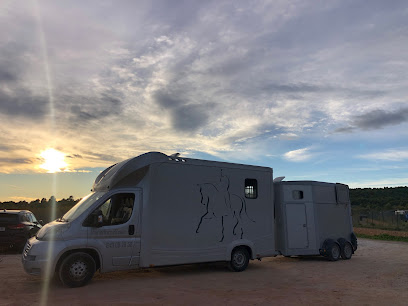 oficina mensajería Transporte de caballos y Logística, THS.