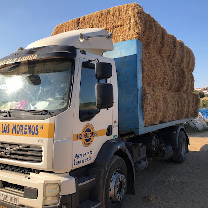 oficina mensajería Transportes Hermanos Pérez Cardoso